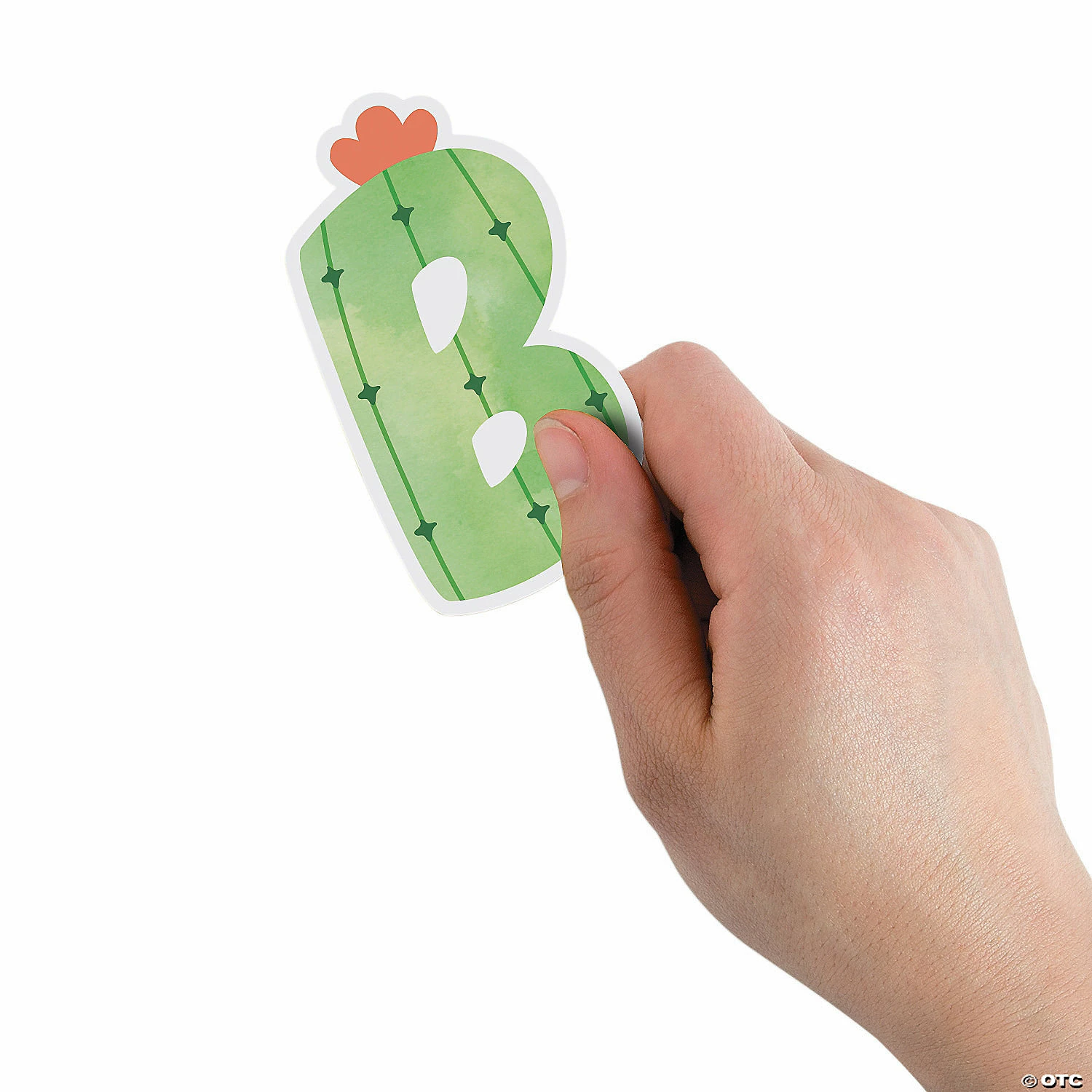 Best Pirce ๐ Cactus Bulletin Board Letters - 248 Pc. โจ - Image 3
