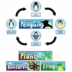 New 🤩 Carson Dellosa Education Life Cycles Bulletin Board Set 🔥