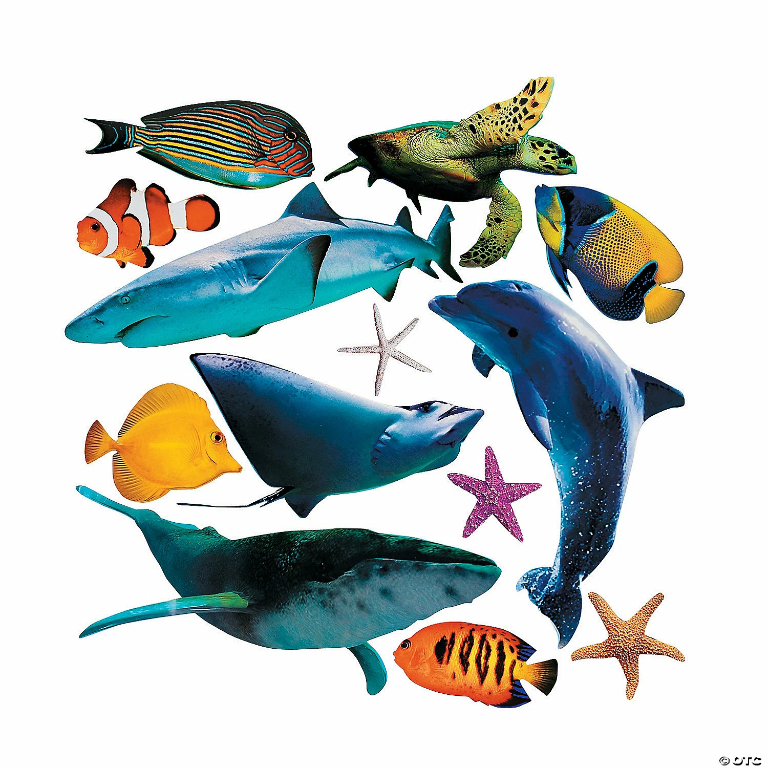 Best Sale โจ Jumbo Realistic Sea Life Cutouts - 13 Pc. ๐คฉ