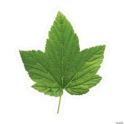 Discount 😉 Schoolgirl Style™ Green Leaf Bulletin Board Cutouts - 36 Pc. 🧨