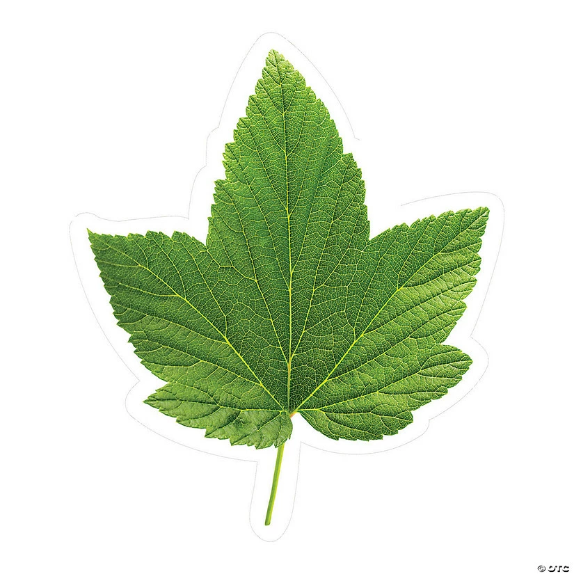 Discount 😉 Schoolgirl Style™ Green Leaf Bulletin Board Cutouts - 36 Pc. 🧨