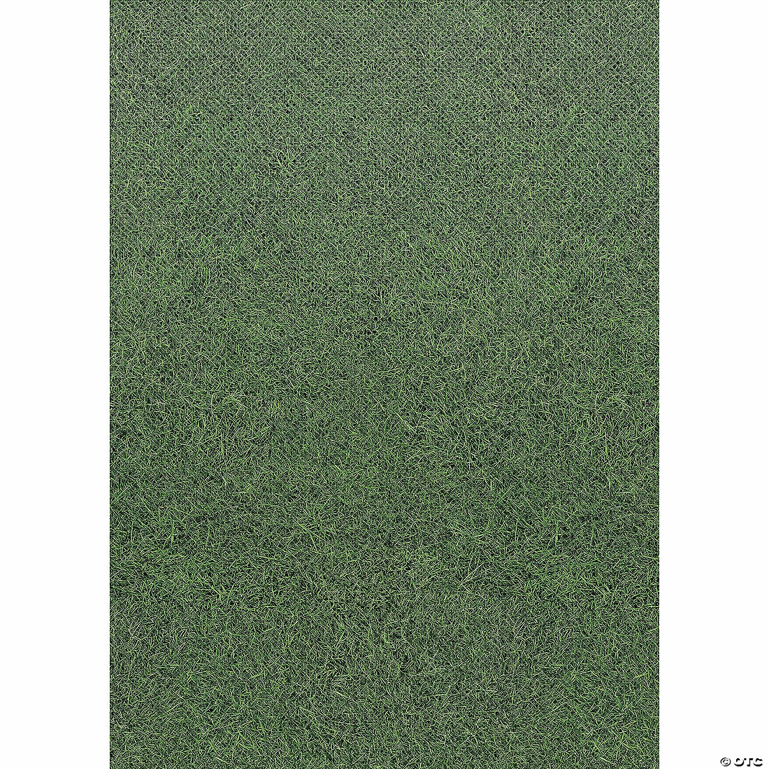 Buy 😀 Teacher Created Resources Grass Better Than Paper Bulletin Board Roll, 4' x 12', Pack of 4 ✔️ - Image 3